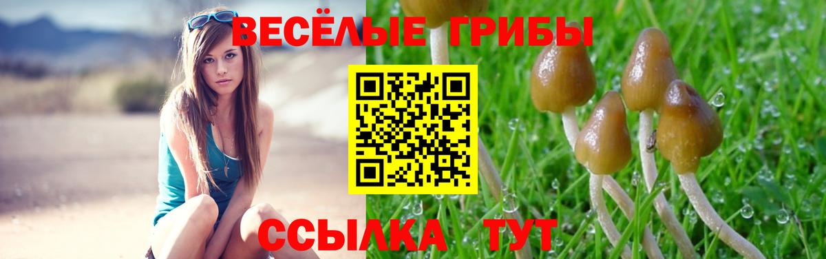 Галлюциногенные грибы GOLDEN TEACHER Кувандык